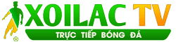 link xem trực tiếp bóng đá hôm nay